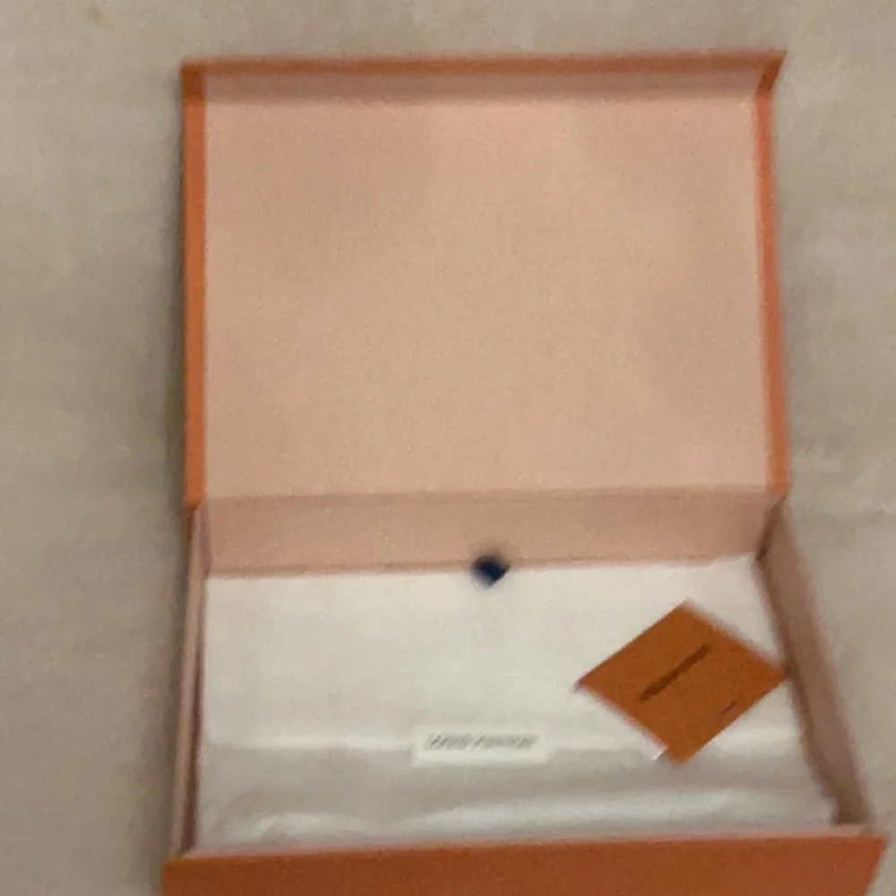 12x8x2,25 Louis Vuitton magnetic closer orange color  new